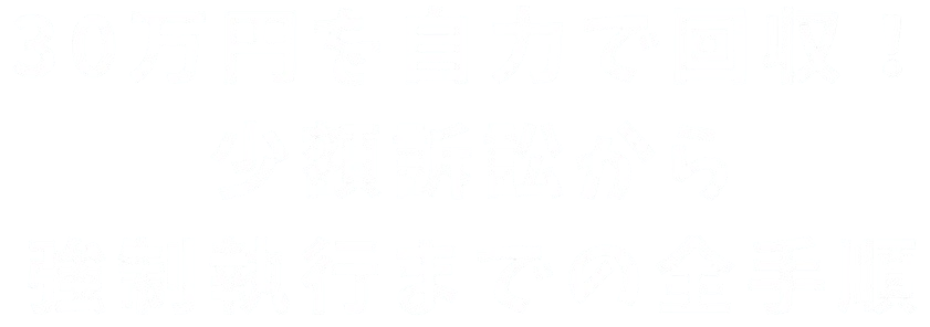 30万円を自力で回収！少額訴訟から強制執行までの全手順
